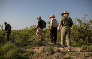 Guided bush walk