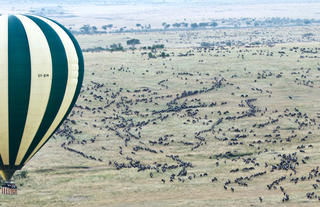 Hot air ballooning over the Mara