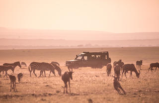 Early morning game drive
