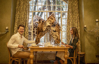Tea with giraffes in Nairobi