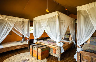 Luxury Glamping Tent