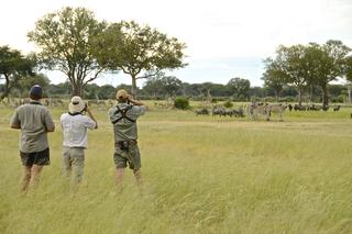 Simbabwe | Camelthorn Lodge – Eastern Hwange National Park | DIAMIR