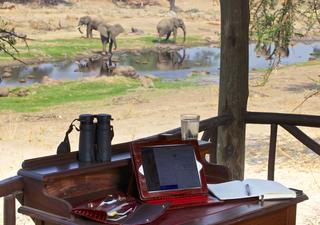 Game drives are not always necessary when so much wildlife can be seen from Ruaha River Lodge&#039;s bandas
