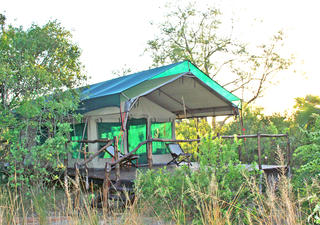 A tent, in its camouflage nest of grasses and trees, looking out over the Rufiji.