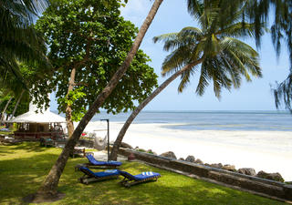 Entspannen Sie beim Sonnenbaden im wunderschönen Palmengarten.
