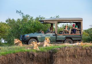 Safari-Fahrt