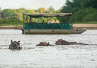 Kurze und ganztägige Bootssafaris auf dem Rufiji-Fluss und den Seen des Selous-Wildreservats