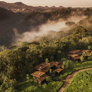 Faszinierende Tierwelt, dramatische Berglandschaften mit viel Grün und unsere eigene funktionierende Teeplantage; erleben Sie Naturwunder im One&amp;Only Nyungwe House.