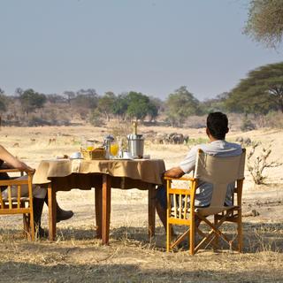Enjoy your breakfast while the wildlife enjoy theirs