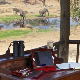 Game drives are not always necessary when so much wildlife can be seen from Ruaha River Lodge&#039;s bandas