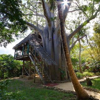 Eines unserer sechs Baumhäuser unter den Baobab Bäumen der Insel Cole
