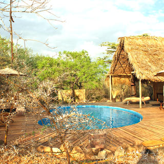 The swimming pool nestles between acacia trees, great for a cooling off dip.