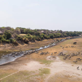 An aerial view of Leroo La Tau on the edge of the Boteti River