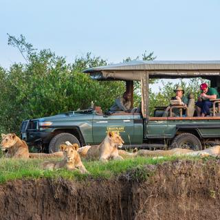 Safari-Fahrt