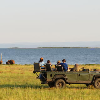 Explore the remote Matusadona NP and Lake Kariba shoreline in an open safari vehicle