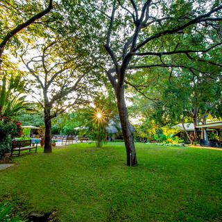 With in the wall of Bayete, guests will met by a jungle like oasis, even during a hot dry summer, the Bayete gardens are lush and green, providing a sense of peace and tranquility.