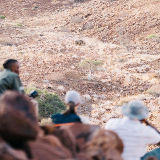 Ein an die Wüste angepasstes Spitzmaulnashorn zu Fuß zu verfolgen ist ein unvergessliches namibisches Abenteuer
