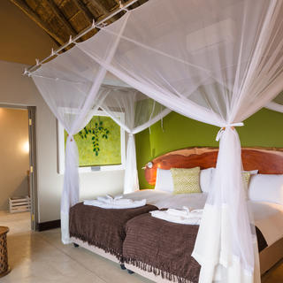 Geräumige, moderne und erfrischende luxuriöse Zimmer mit eigenem Bad in der Safarihoek Lodge