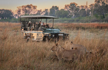 Wilderness Chitabe Lediba