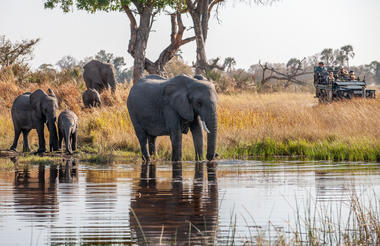 Wilderness Chitabe Lediba