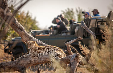 Wilderness Chitabe Lediba