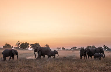 Wilderness Chitabe Lediba