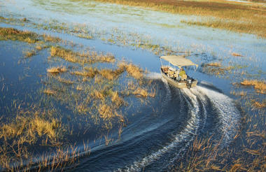 Camp Okavango