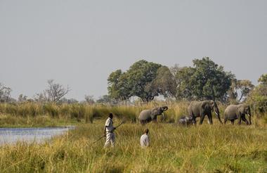 Uncharted Expeditions Camp  