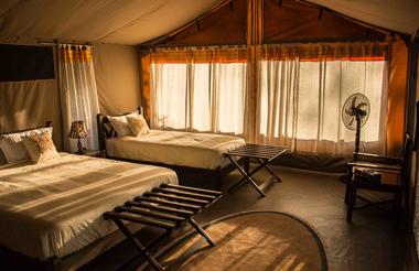 Guest Tent - Porini Cheetah Camp