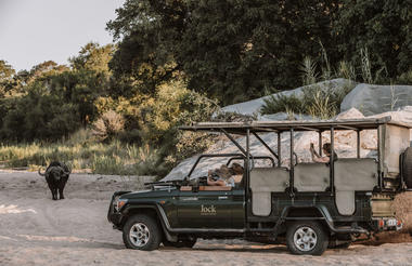 Game Drives | Jock Safari Lodge 