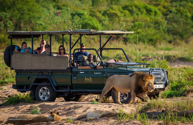 Game Drives | Jock Safari Lodge 