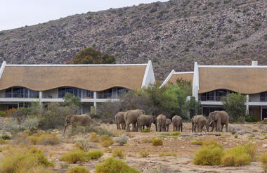 Gondwana Family Lodge at Sanbona Wildlife Reserve