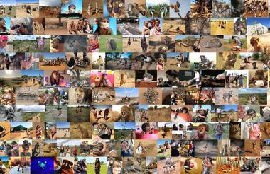 N/a'an ku sê volunteers & activities