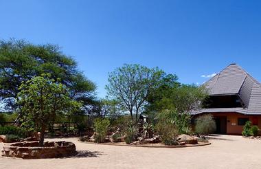 Cheetah Conservation Fund
