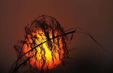 Ndhovu Safari Lodge - Sunset