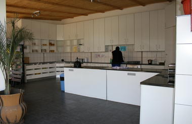 Self catering kitchen