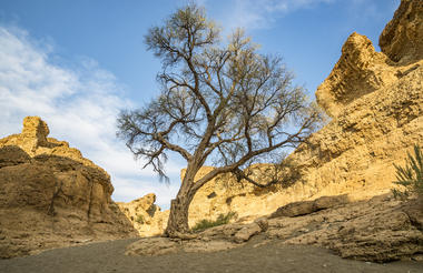 Sesriem Canyon Excursion