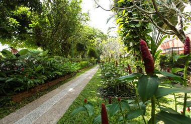 Overview and Garden