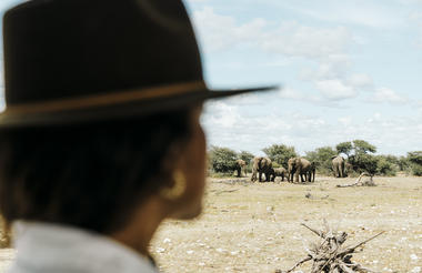 Full Day Game Drive into Etosha