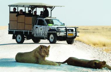 Etosha Safari Camp