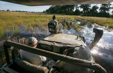 Okavango Game Drives