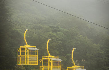 TreeTram - Cable way