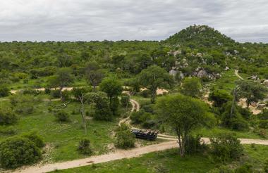 MalaMala Landscape