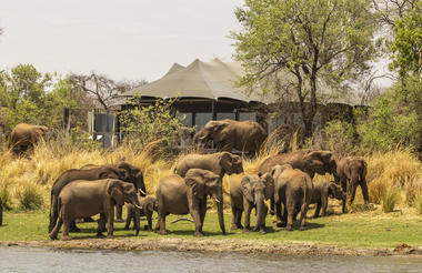 Old Drift Lodge - Suites