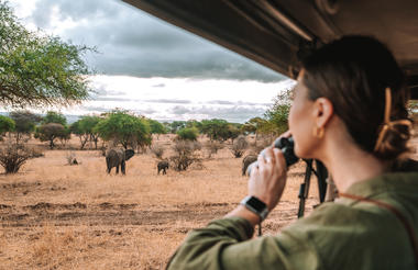 On Safari
