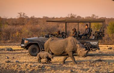 Black Rhino Experience & Game drives 