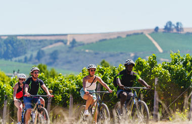 Bikes 'n Wines Half Day Stellenbosch Tour 1