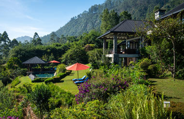 Pool and Garden