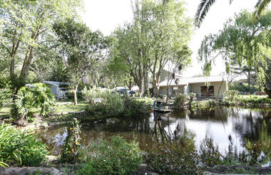 Waterland oasis in the heart of Cape Town