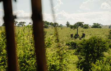 Elewana Serengeti Migration Camp